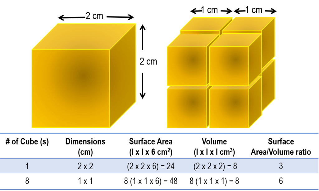 Figure 1 - nano webpage