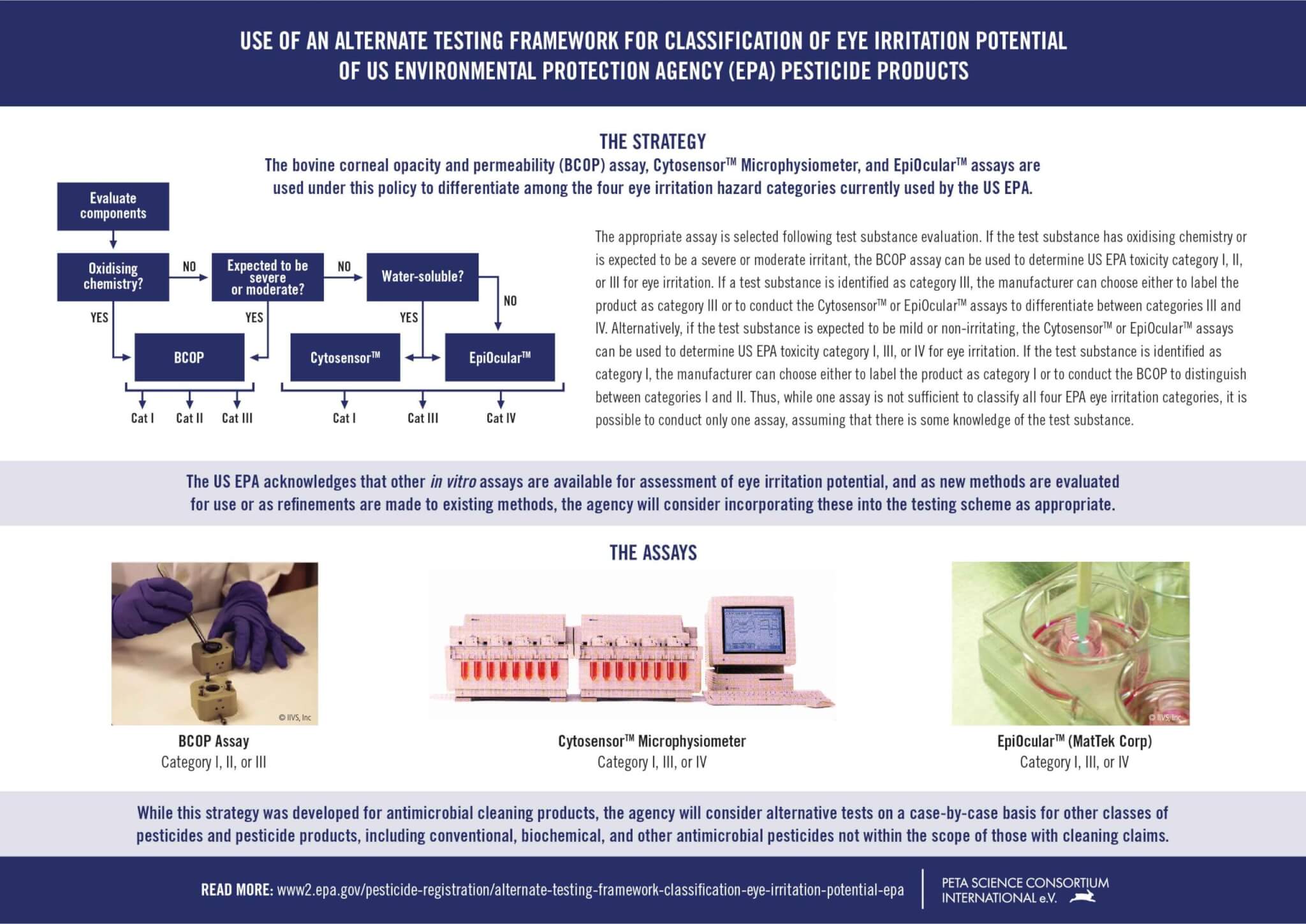 PSCI Alt Eye Testing Framework A4 2021_WEB